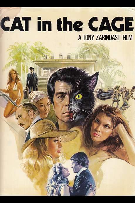 Cat in the Cage